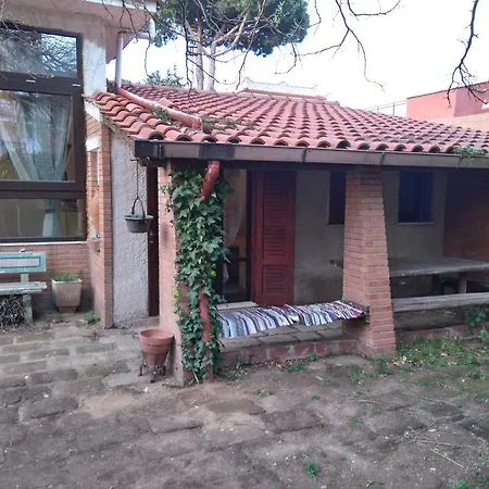 Nafidha * Anzio